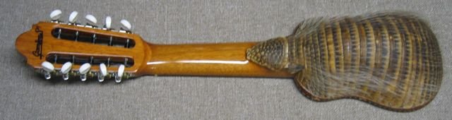 Charang con armadillo de soporte o decoracion